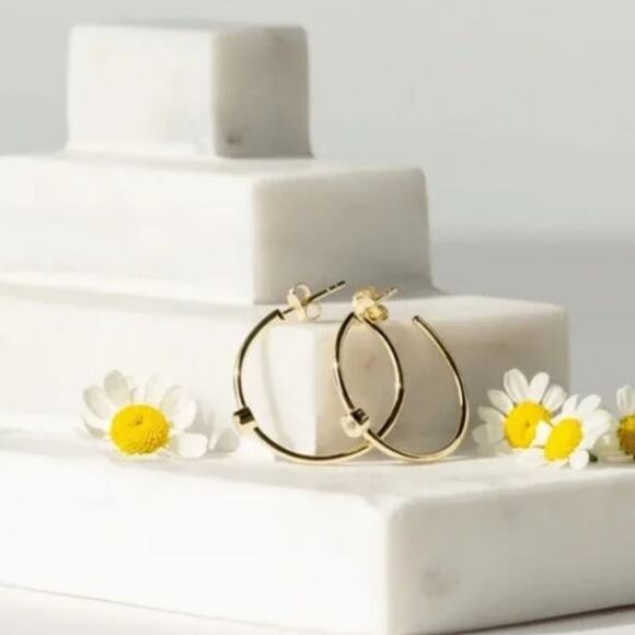 NEW Marrin Costello By Rachel Zoe Mystique 14K Gold Plated Hoop Earrings - Picture 7 of 9